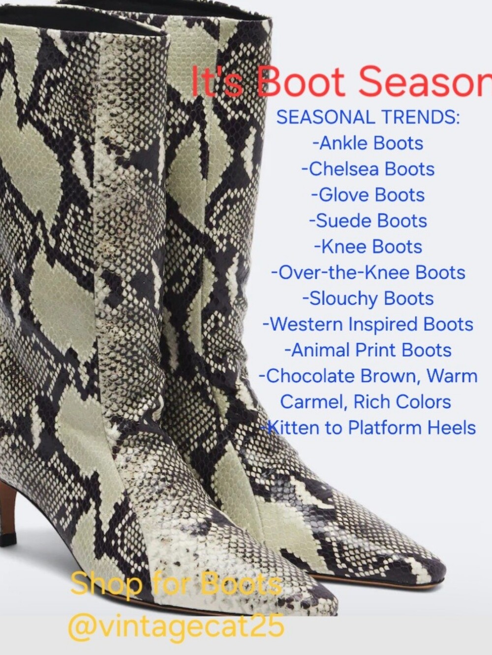 IT'S BOOT SEASON-Shop @vintagecat25